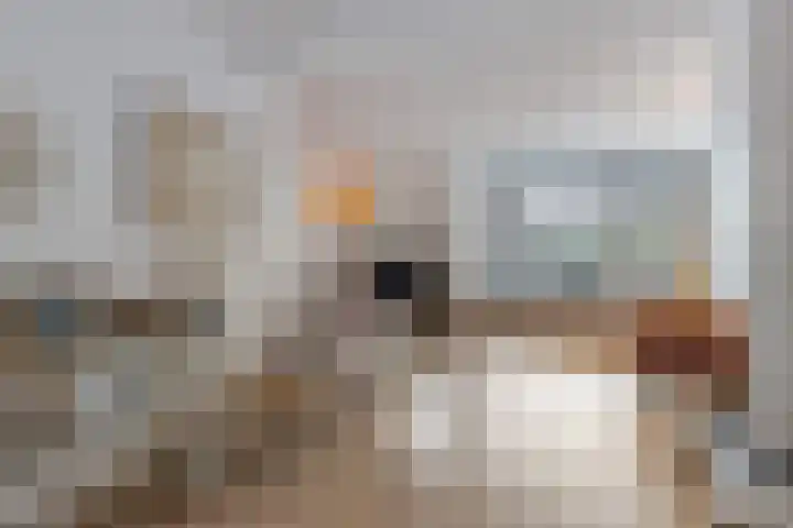 Krabbenbosweg 64 Hengelo thumbnail 14