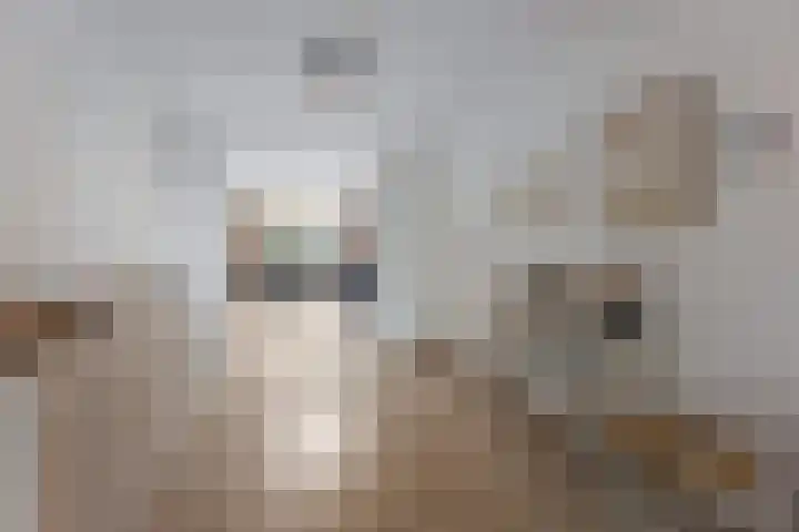 Krabbenbosweg 64 Hengelo thumbnail 17