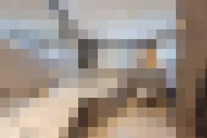 Krabbenbosweg 64 Hengelo thumbnail 32