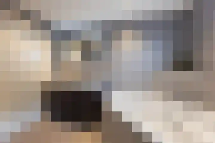 Krabbenbosweg 64 Hengelo thumbnail 33