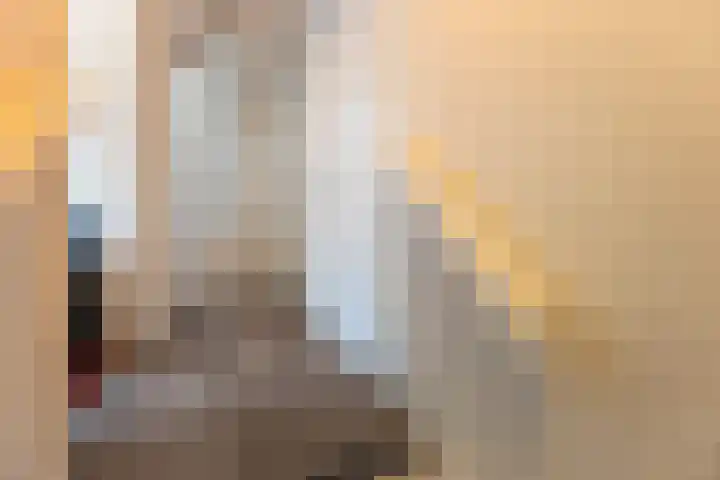 Krabbenbosweg 64 Hengelo thumbnail 35