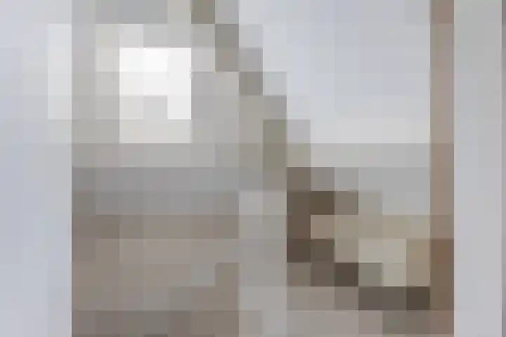 Krabbenbosweg 64 Hengelo thumbnail 36