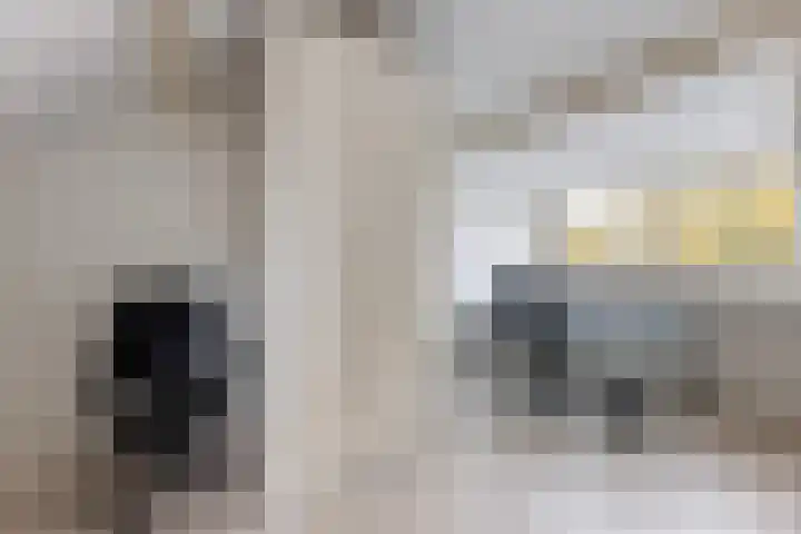 Krabbenbosweg 64 Hengelo thumbnail 37