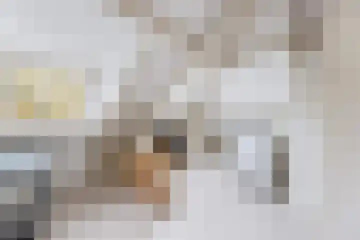 Krabbenbosweg 64 Hengelo thumbnail 38