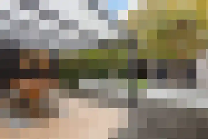 Krabbenbosweg 64 Hengelo thumbnail 4