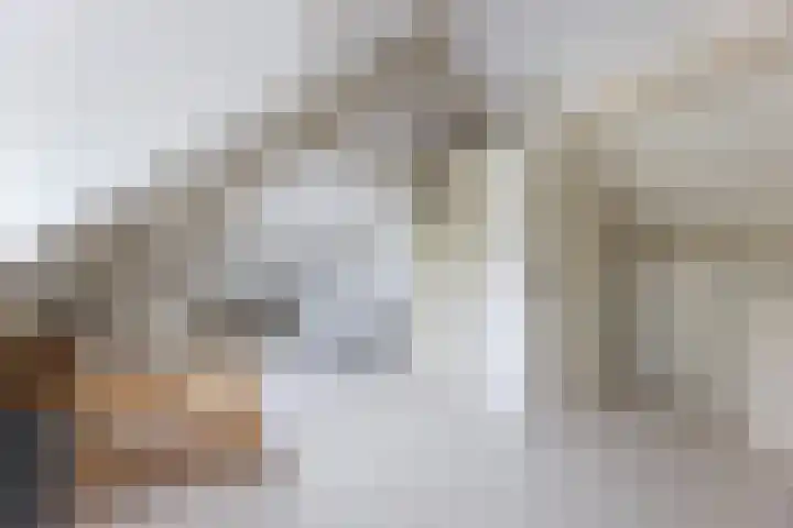 Krabbenbosweg 64 Hengelo thumbnail 39