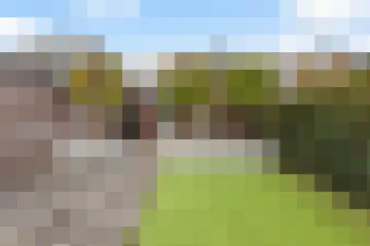 Krabbenbosweg 64 Hengelo thumbnail 42