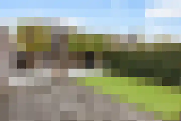 Krabbenbosweg 64 Hengelo thumbnail 43