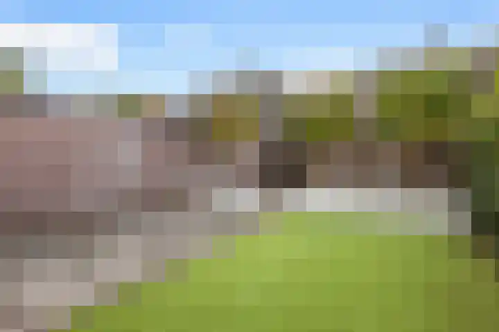 Krabbenbosweg 64 Hengelo thumbnail 44
