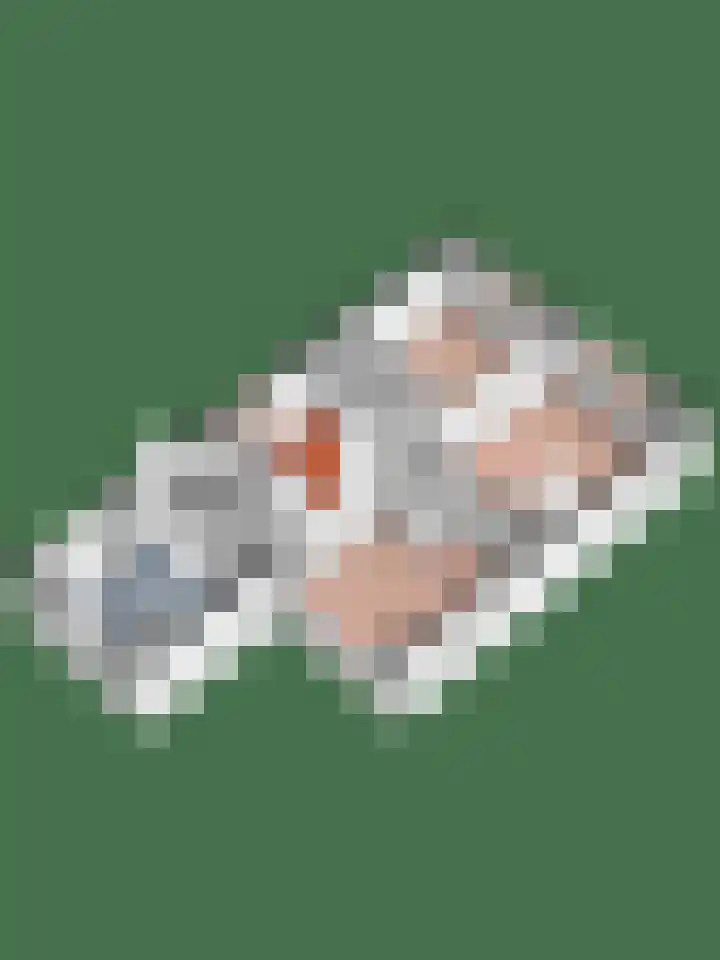 Krabbenbosweg 64 Hengelo thumbnail 48