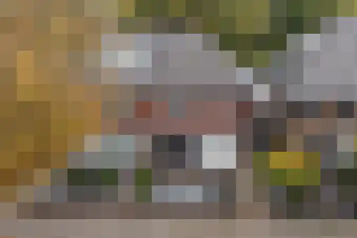 Krabbenbosweg 64 Hengelo thumbnail 5