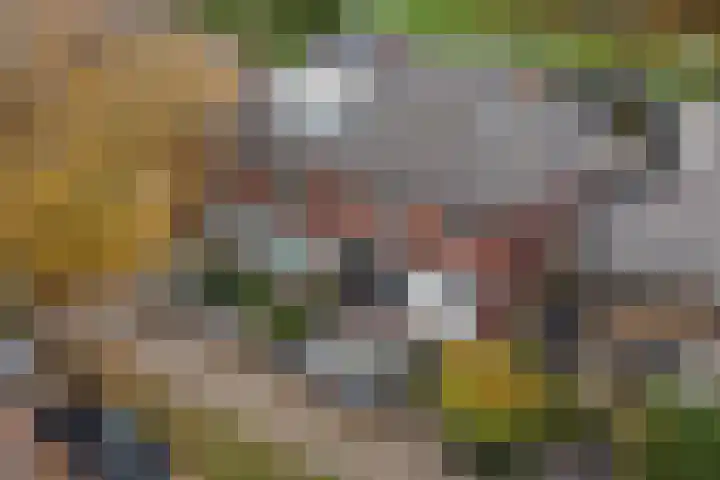 Krabbenbosweg 64 Hengelo thumbnail 6