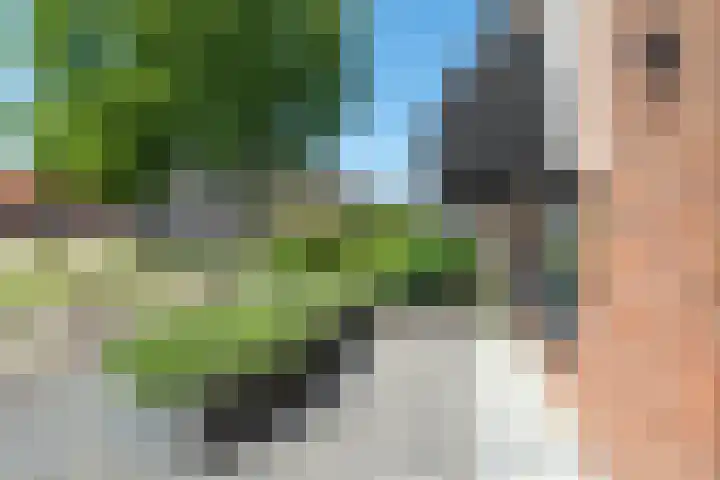 Krabbenbosweg 80 Hengelo thumbnail 10