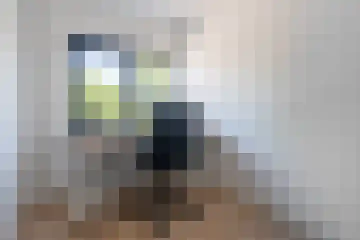Krabbenbosweg 80 Hengelo thumbnail 30