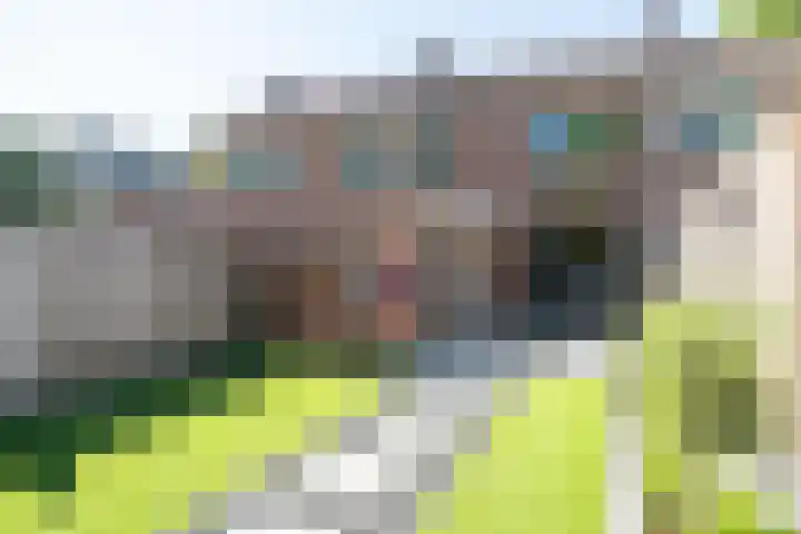 Krabbenbosweg 80 Hengelo thumbnail 34