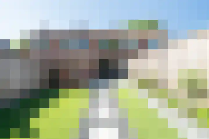 Krabbenbosweg 80 Hengelo thumbnail 37