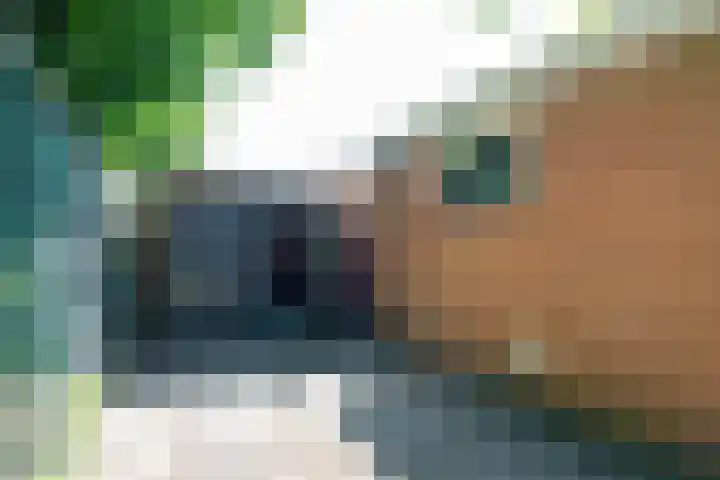Krabbenbosweg 80 Hengelo thumbnail 38