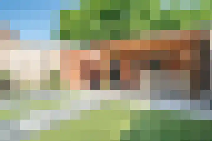 Krabbenbosweg 80 Hengelo thumbnail 4
