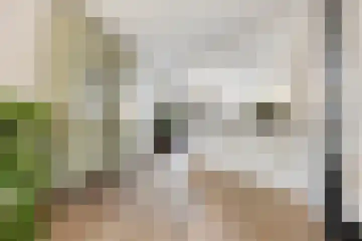 Krabbendamstraat 13 Tilburg thumbnail 14