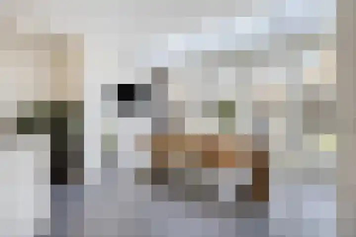 Krabbendamstraat 13 Tilburg thumbnail 16