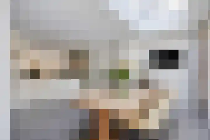Krabbendamstraat 13 Tilburg thumbnail 18