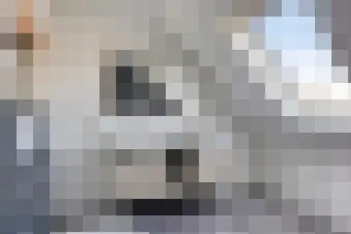 Krabbendamstraat 13 Tilburg thumbnail 34