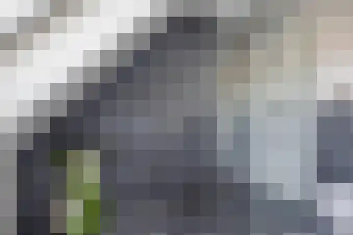 Krabbendamstraat 13 Tilburg thumbnail 35