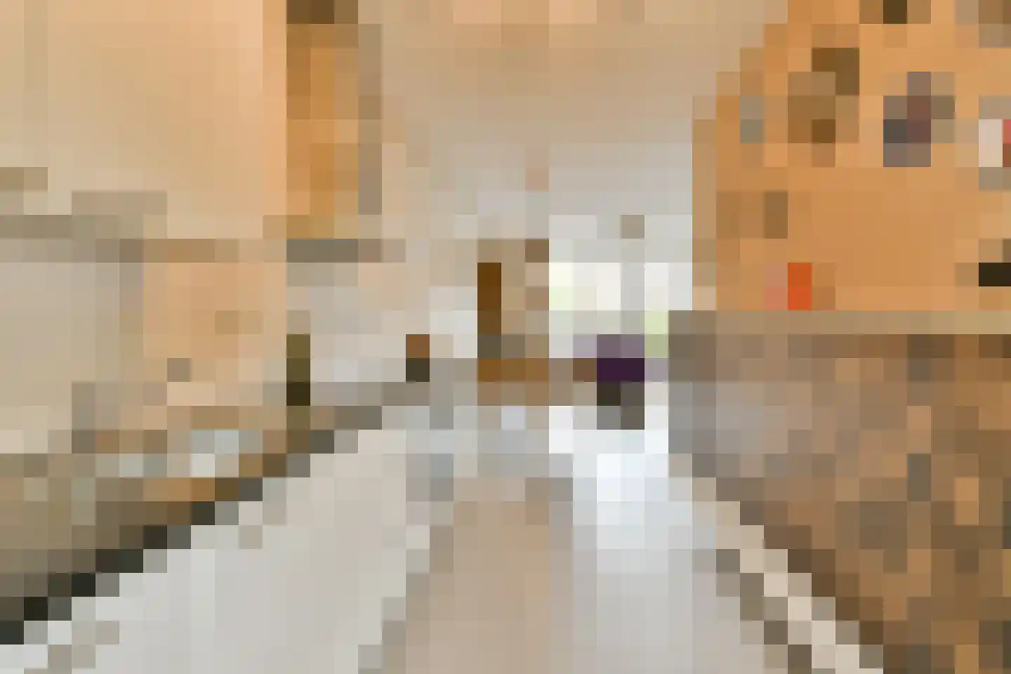 Krabbendamstraat 47 Amsterdam thumbnail 14