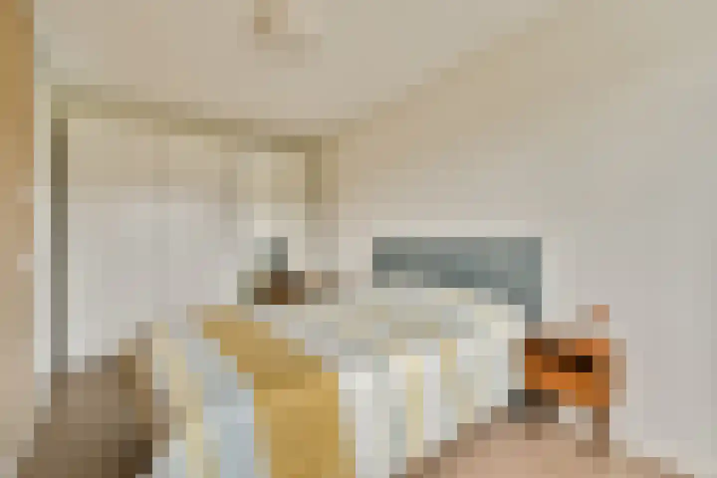 Krabbendamstraat 47 Amsterdam thumbnail 21