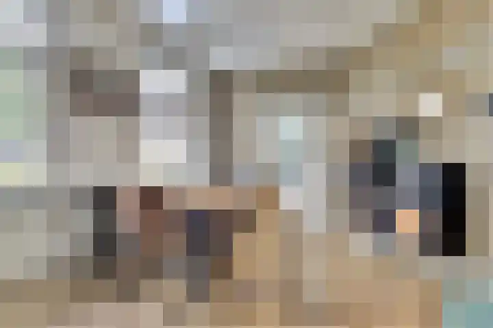 Krabbendijke 4 Brouwershaven thumbnail 10