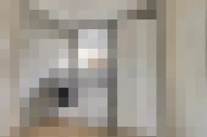 Krabbendijke 4 Brouwershaven thumbnail 17