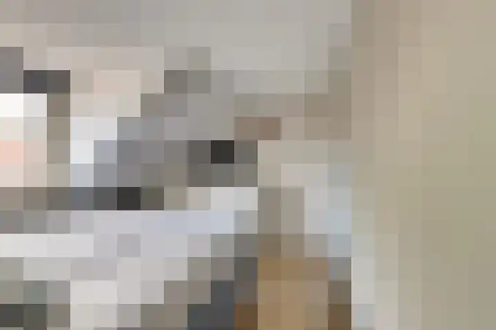 Krabbendijke 4 Brouwershaven thumbnail 19