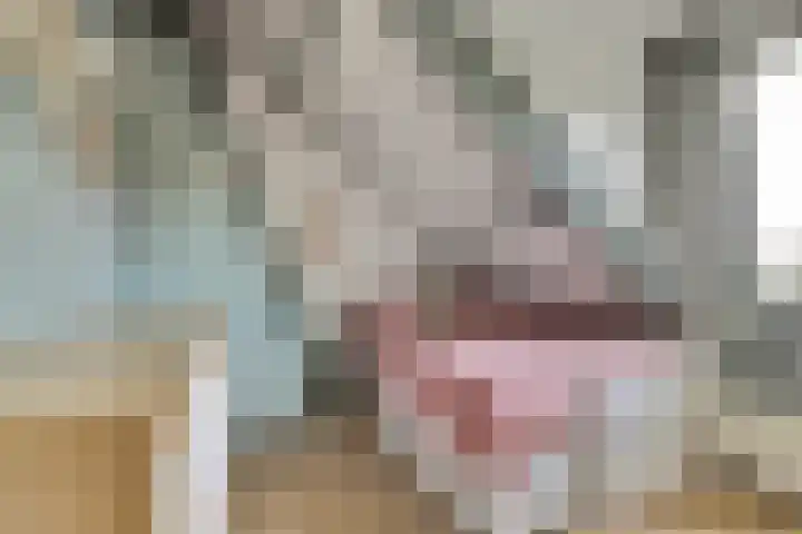 Krabbendijke 4 Brouwershaven thumbnail 20