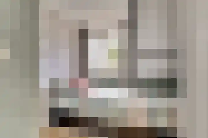 Krabbendijke 4 Brouwershaven thumbnail 22