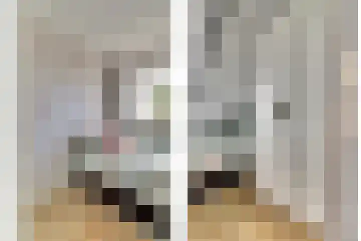 Krabbendijke 4 Brouwershaven thumbnail 23