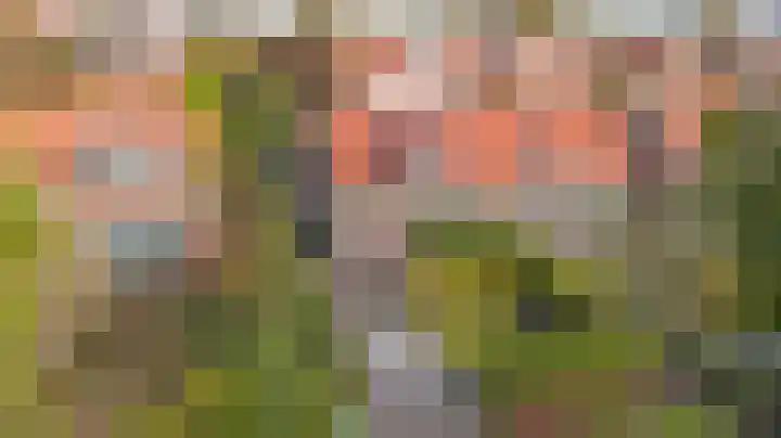 Krabbendijke 4 Brouwershaven thumbnail 32
