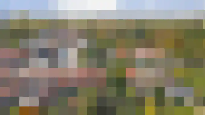 Krabbendijke 4 Brouwershaven thumbnail 37