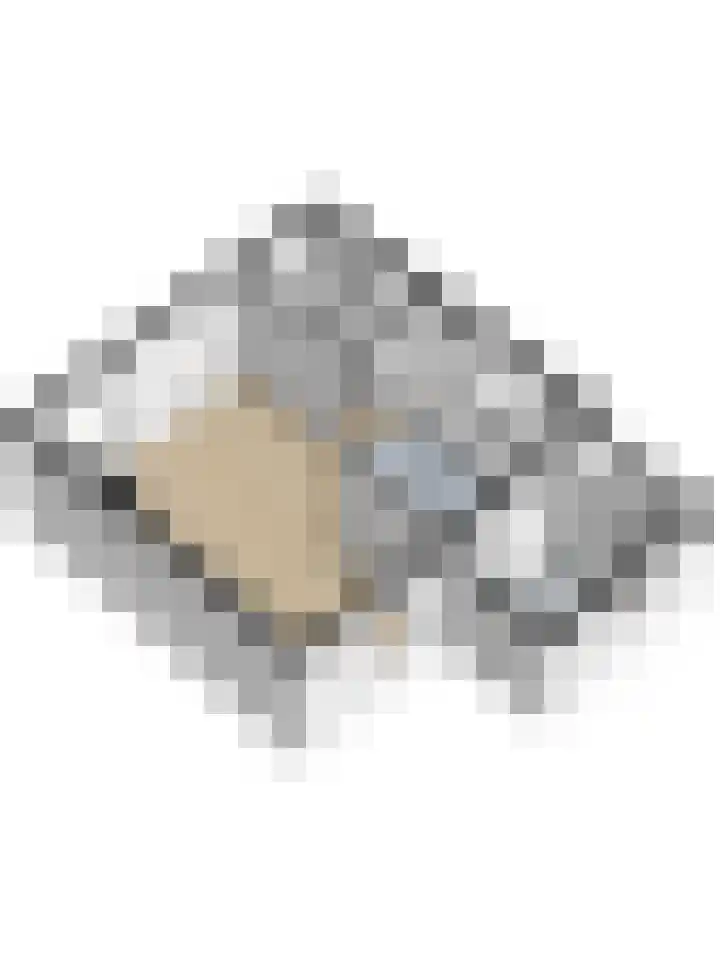 Krabbendijke 4 Brouwershaven thumbnail 43