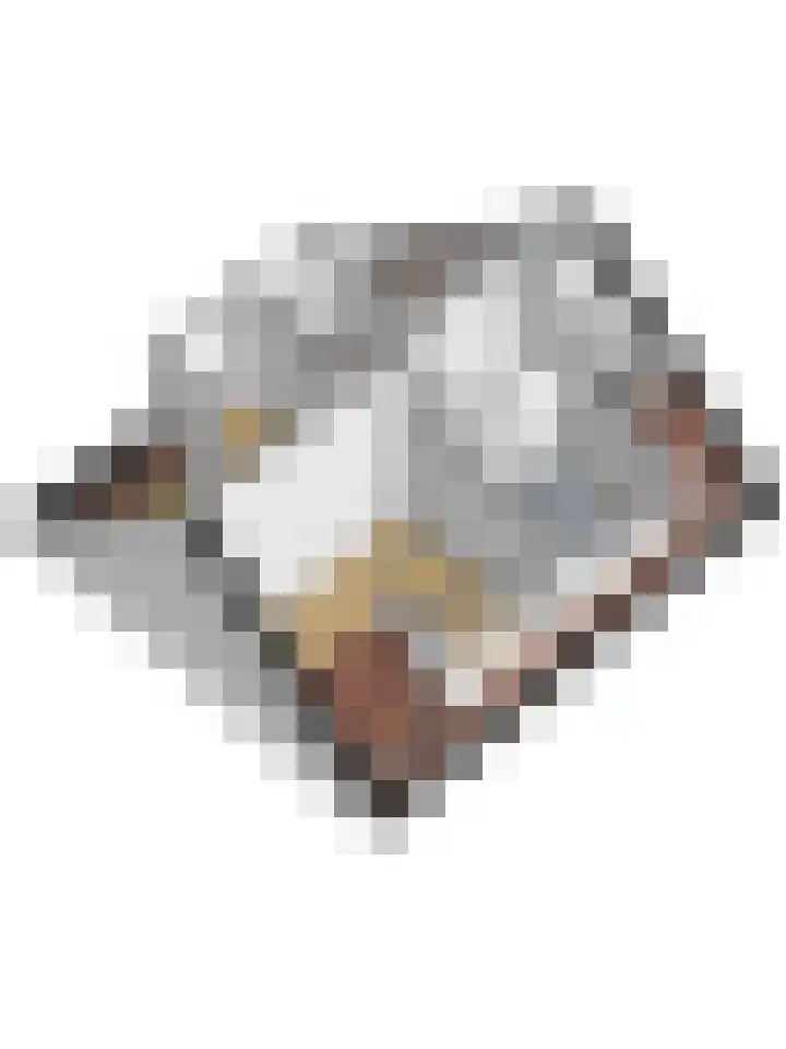 Krabbendijke 4 Brouwershaven thumbnail 44