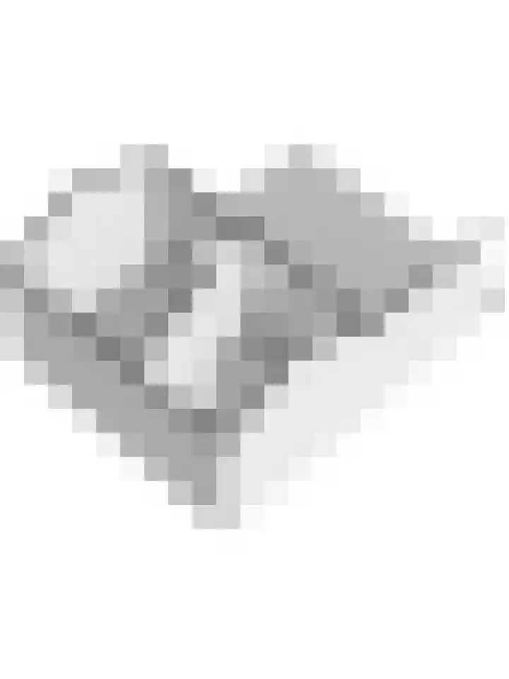 Krabbendijke 4 Brouwershaven thumbnail 45