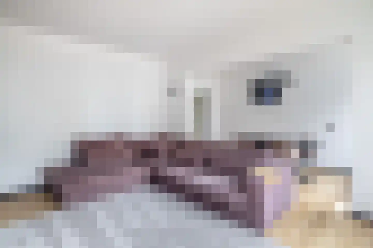 Krabbendijkehof 13 Rotterdam thumbnail 15