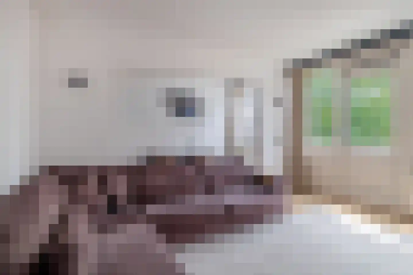 Krabbendijkehof 13 Rotterdam thumbnail 16