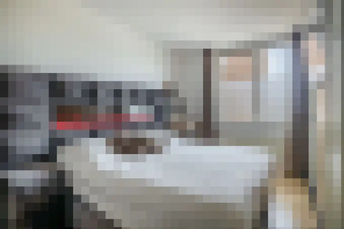 Krabbendijkehof 13 Rotterdam thumbnail 22