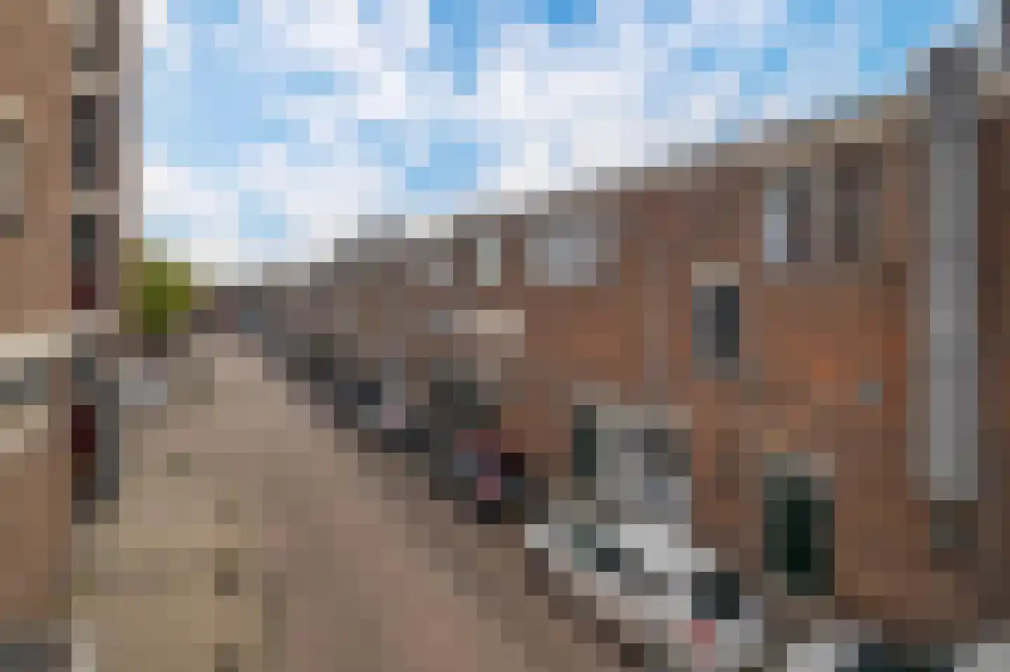 Krabbendijkehof 13 Rotterdam thumbnail 39