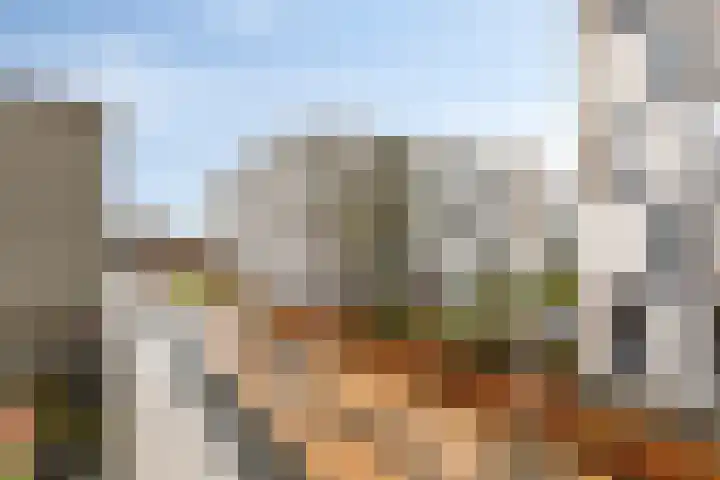 Krabbendijkehof 33 Rotterdam thumbnail 11