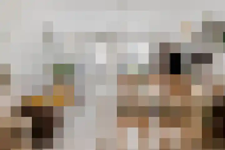 Krabbendijkehof 33 Rotterdam thumbnail 6