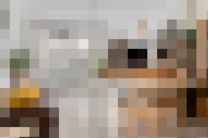 Krabbendijkehof 33 Rotterdam thumbnail 7
