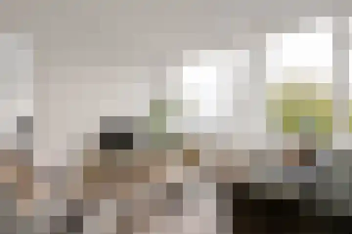 Krabbendijkehof 59 Rotterdam thumbnail 7