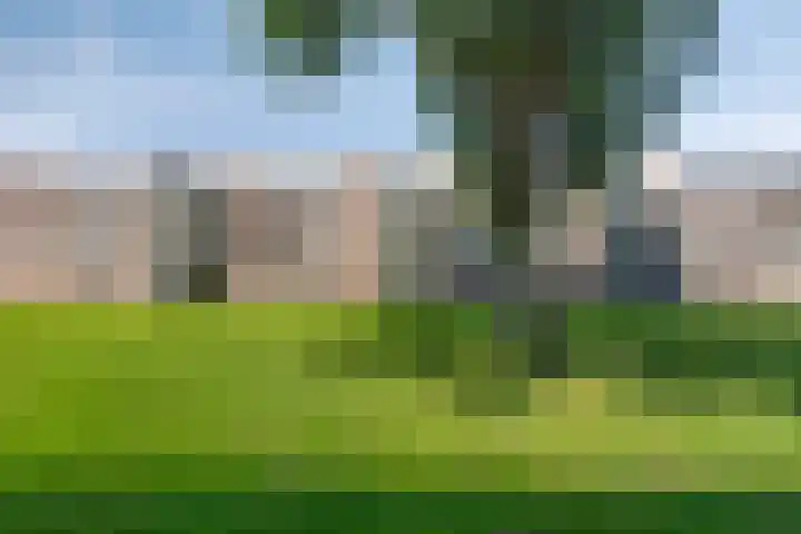 Krabbendijkestraat 359 Rotterdam thumbnail 29