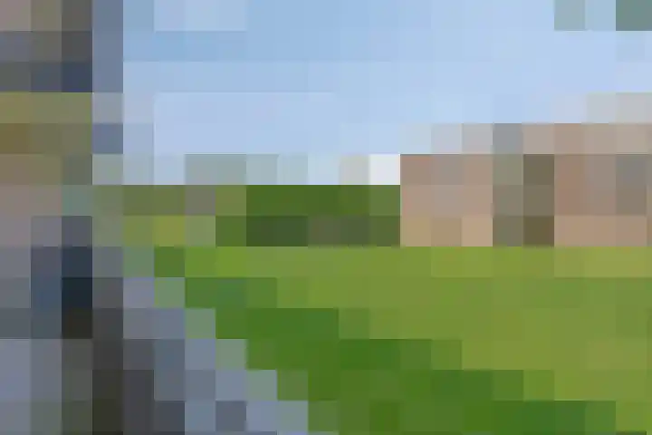 Krabbendijkestraat 359 Rotterdam thumbnail 30